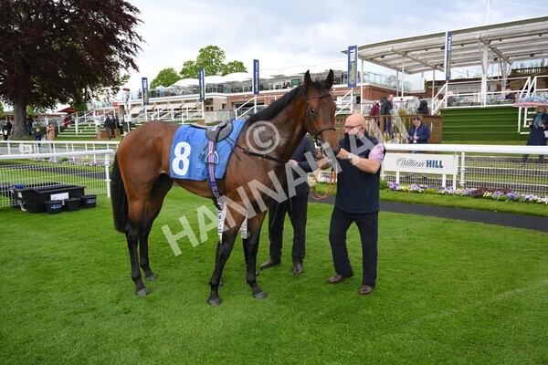 yr22052021r5-29 - Race 5 4.20pm William Hill EBF Novice Stakes (Plus 10 Race)