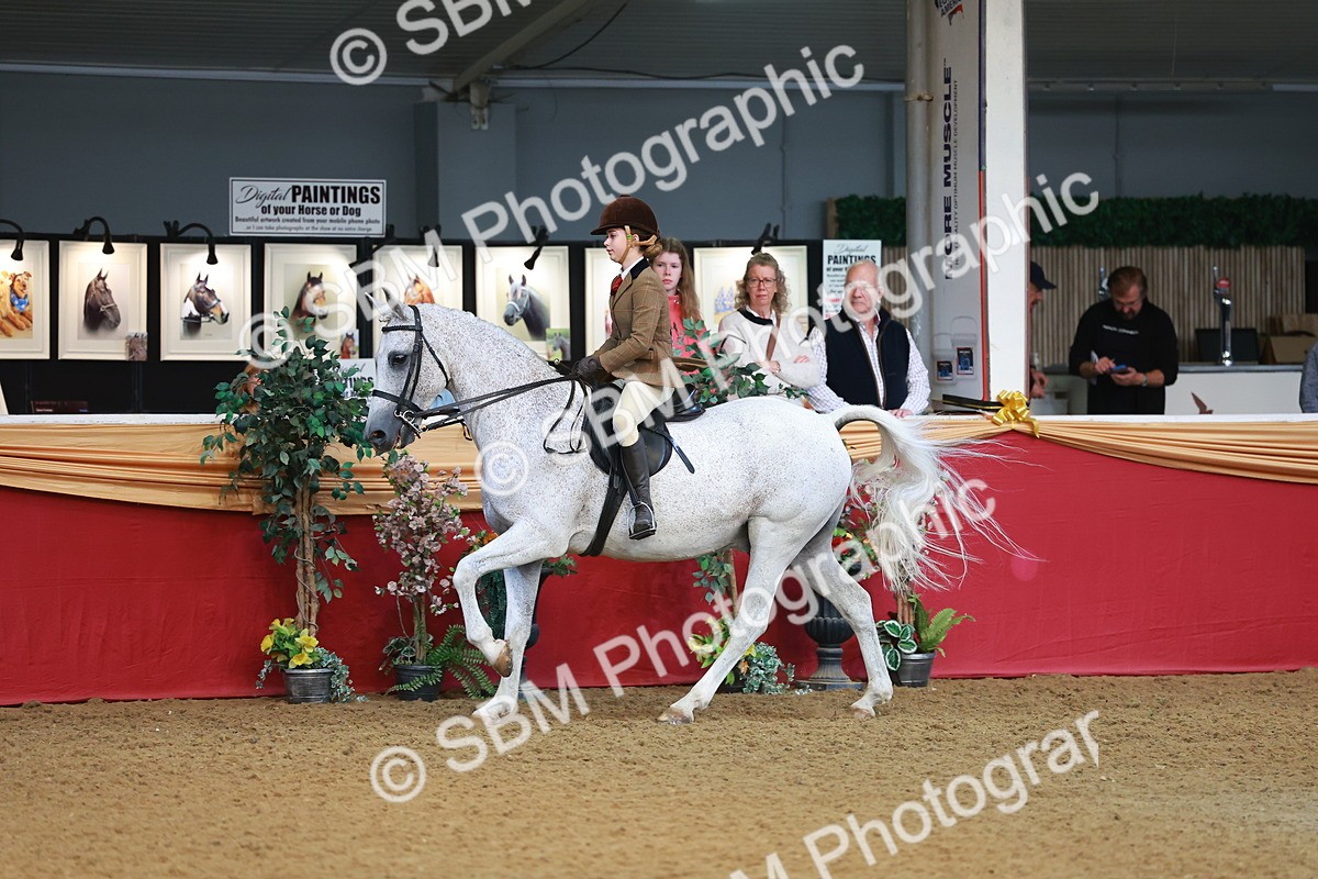 SBM_09501 - Class 102 - HOYS Veteran Qualifier - Ridden Veteran