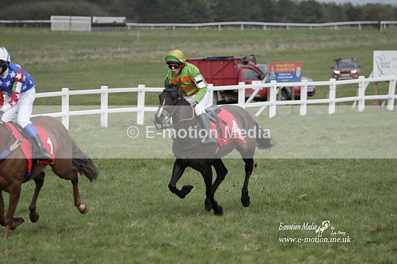 PtP 260323 1008 - New Forest Hounds Point-to-Point Larkhill 26/03/23