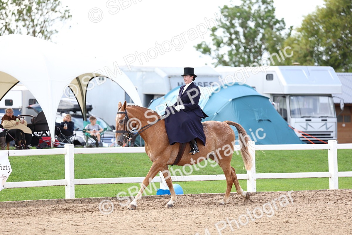 SBM_03213 - Class 22 - SSA Equitation (any age)