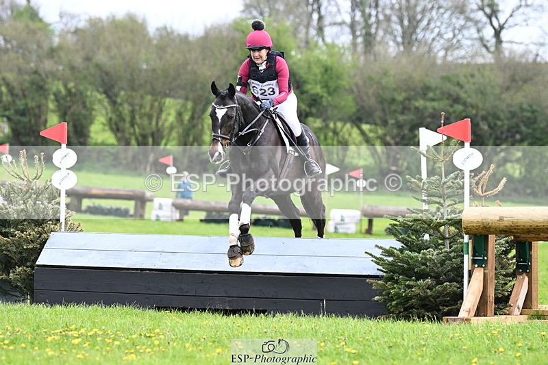 250419-134255-11801 - 623-Shan.Cothi-LAUGHARNE