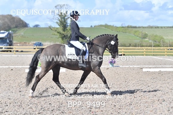 BPP_9499 - NOVICE 6