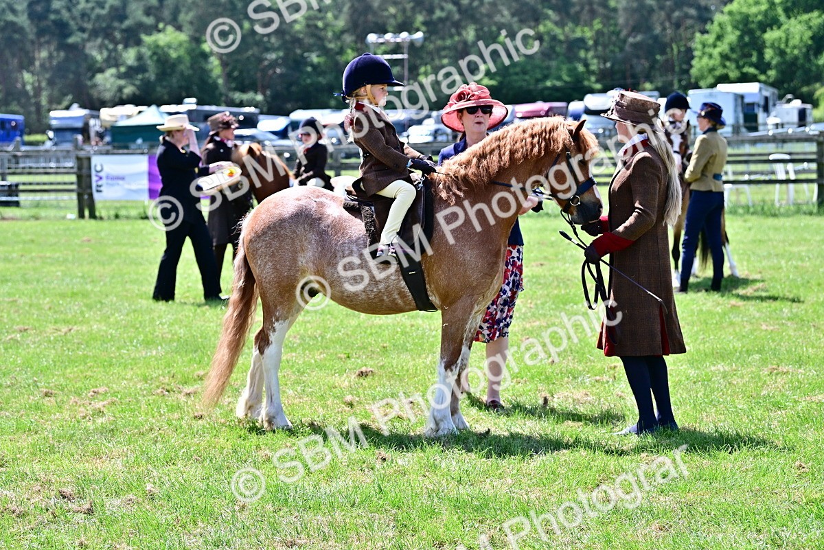 SBM_05842 - Class 59-60 - TSR M&M  Lear Rein and First Ridden Amateur of the year