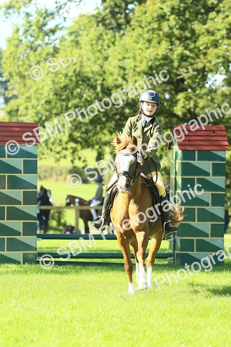 SBM_37453 - S29 - Novice & Newcomers Working Hunter Pony