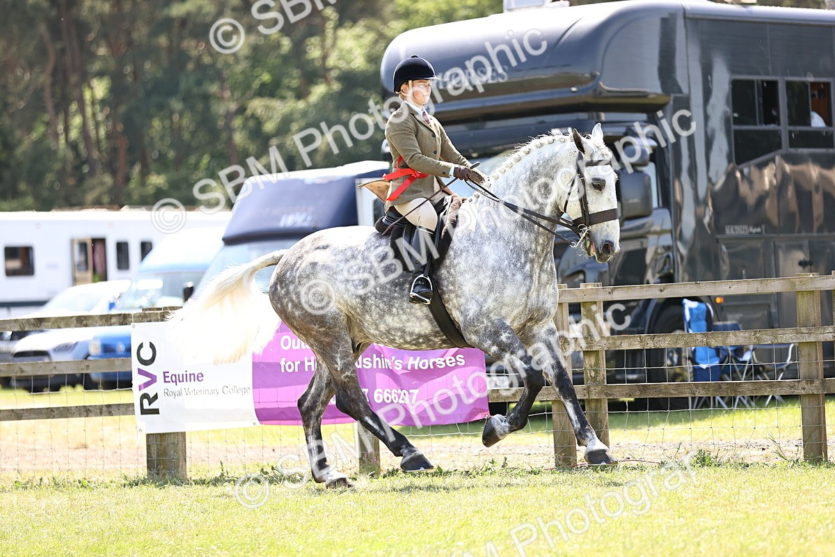 SBM_16188 - Class 79-80 - LIHS BSHA Rising Star Ridden Hunter