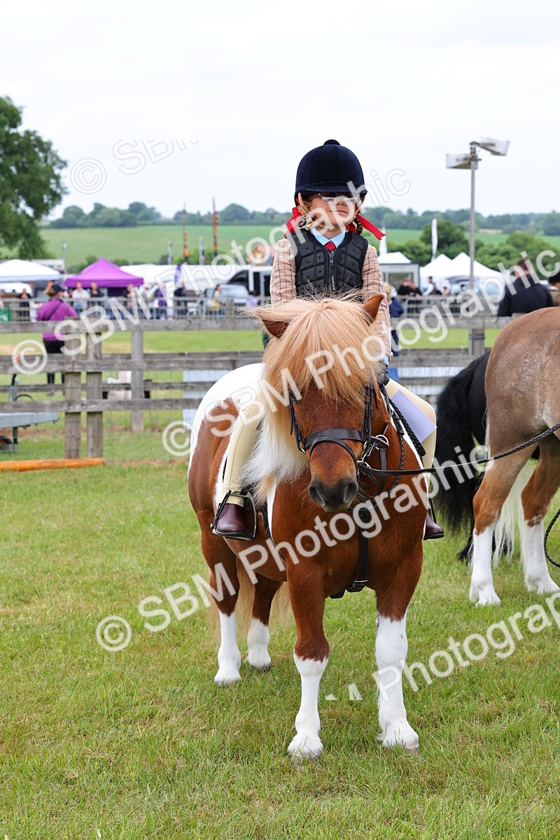 SBM_08407 - Class 42-43 - LIHS BSPS Heritage Working Sports Pony