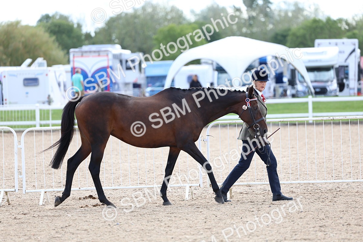 SBM_15318 - Class 312 - IH Competition Horse-Pony