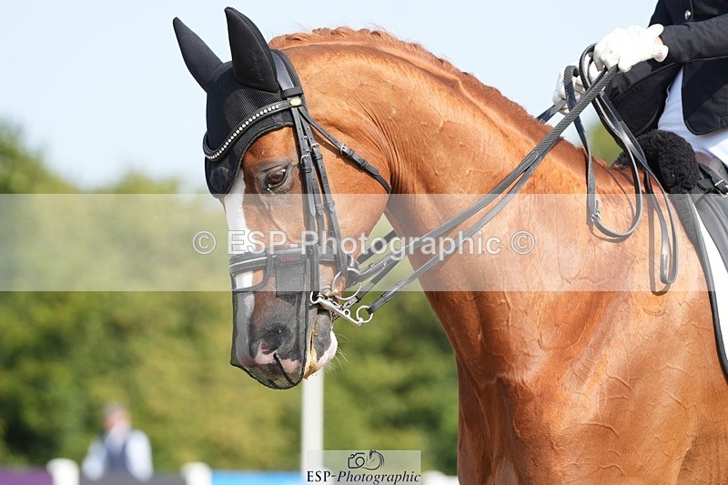 250817-103824-08109 - 150-Laima.DaviesRomero