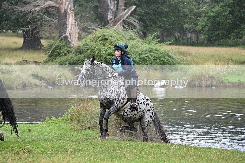 WJ7_8166 - Time at Water 11:06 to 11:21