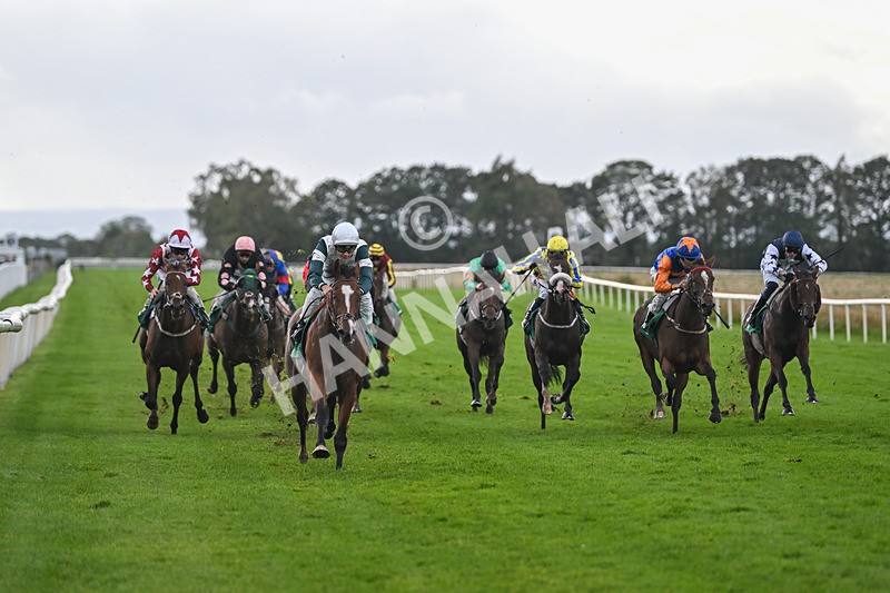 150925-Race 4-Hockney-2742 - Race 4