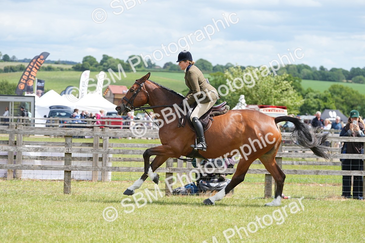 SBM_15023 - Class 100-102 - RIHS Working Hunter