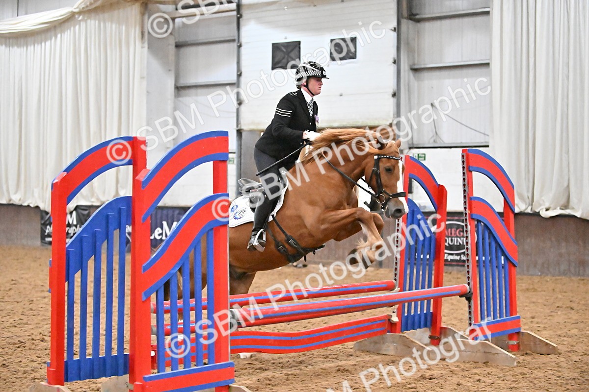 SBM_002941 - Class 37,38 - UKPSAF Performance Horse & Pony