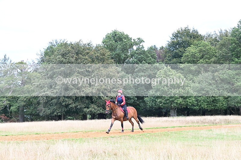 DSC_8867 - Time at Statue 14:33 to 15:10