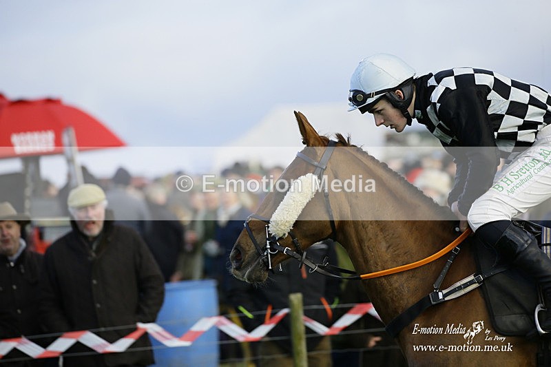 PtP 300122 620 - South Dorset Hunt - Point-to-Point Races 30/01/2022