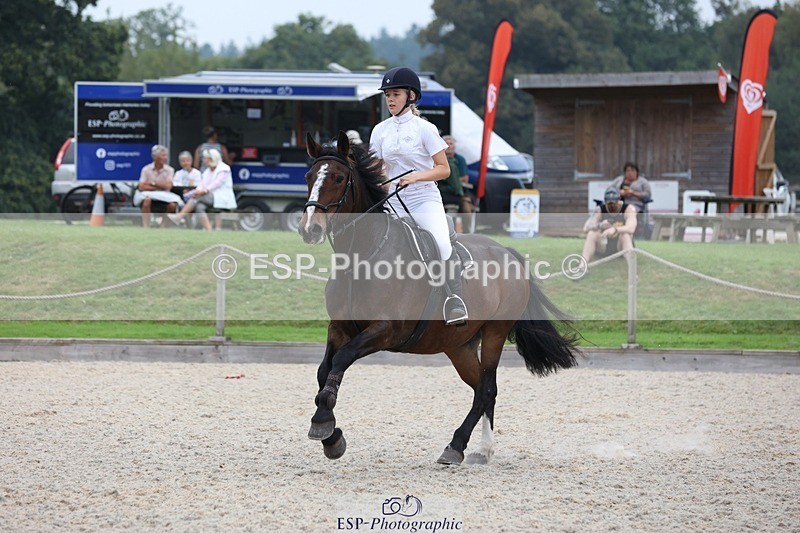 230908-175930-03563 - Cls 9 Snr Newcomers & 1.10m Open