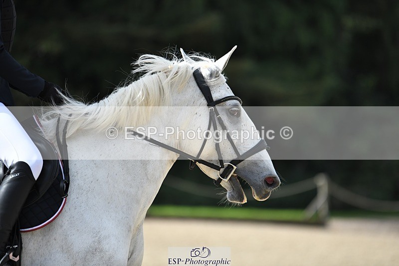 230820-102650-00241 - 80cm - Round 1