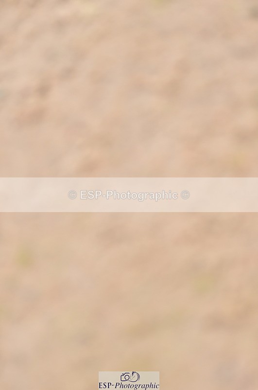 240403A-155110-01045 - Cls 5 Foxhunter and 1.20m Open