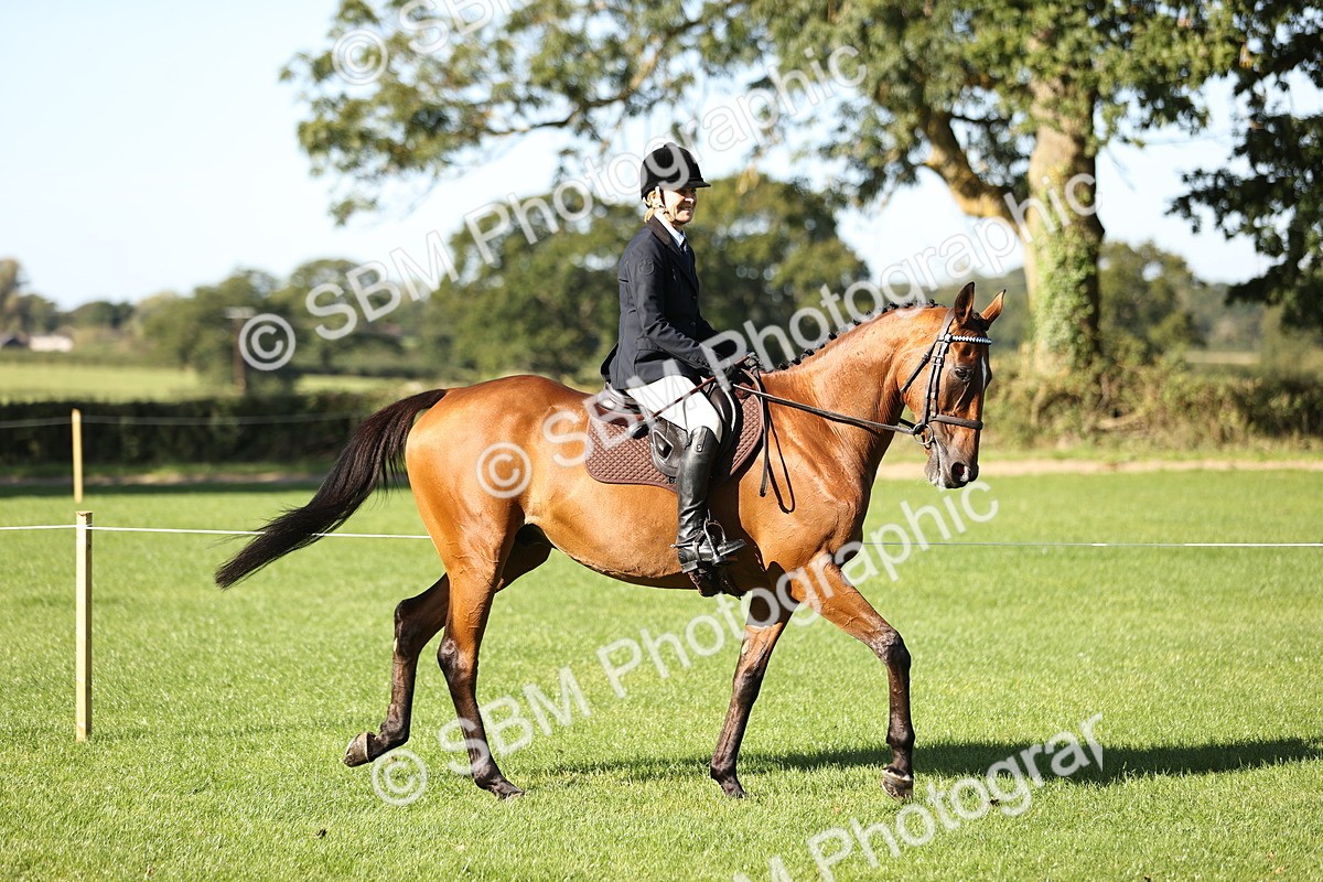 SBM_16869 - S2 - TSR Ridden Pony Showing