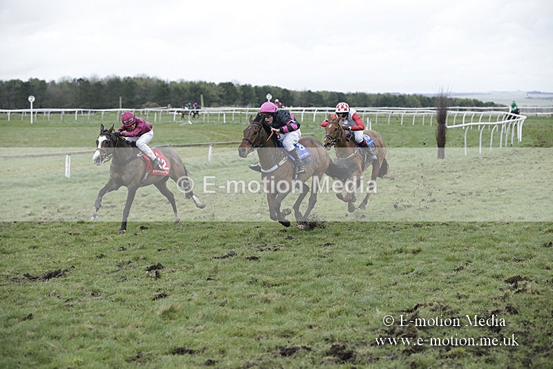 PtP 150320 0869 - New Forest Point-to-Point Larkhill 15/03/20