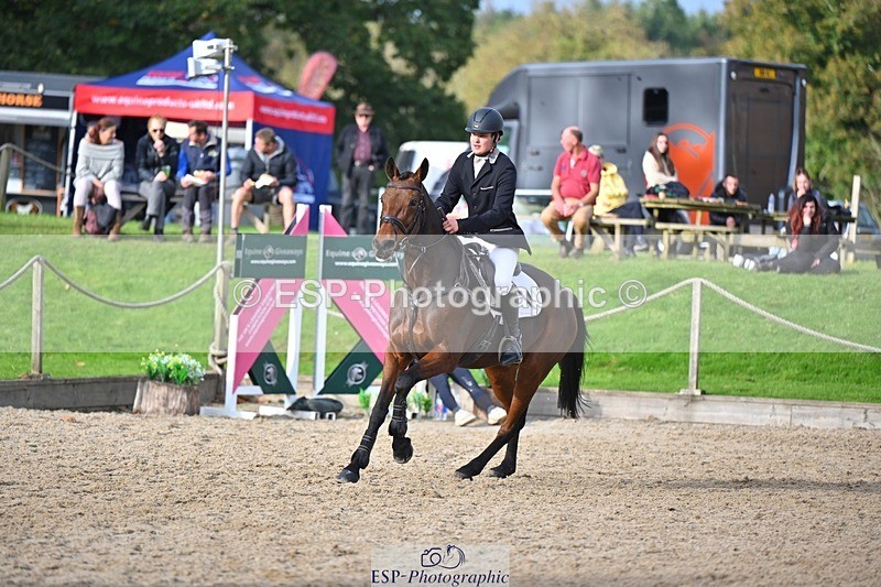 241027-141328-17784 - 504-Harry.Robinson-WHAT.A.WONDER