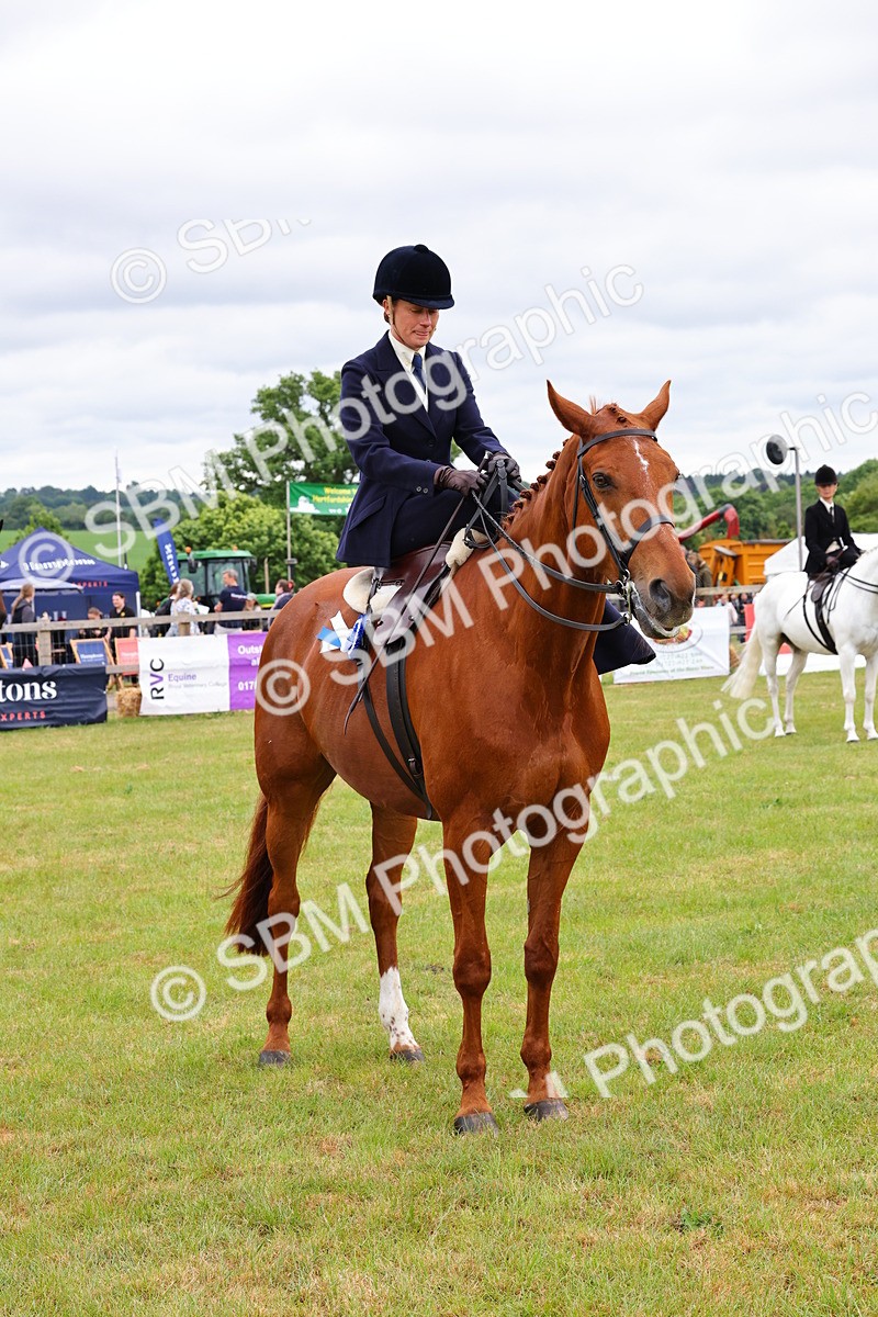 SBM_02894 - Class 9-11 Side Saddle including LIHS Rising Star Ladies Show Horse