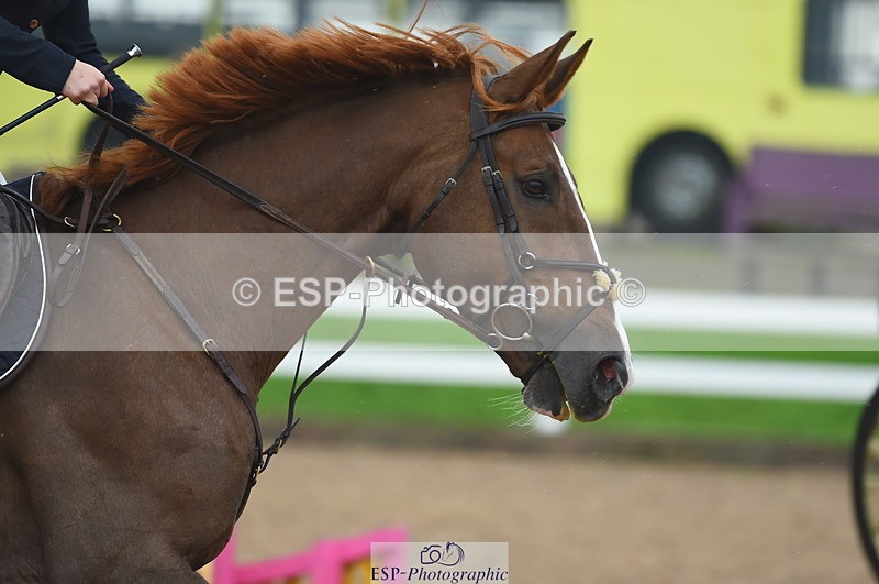 230916A-111216-03645 - Cls 21 British Novice & 90cm Open