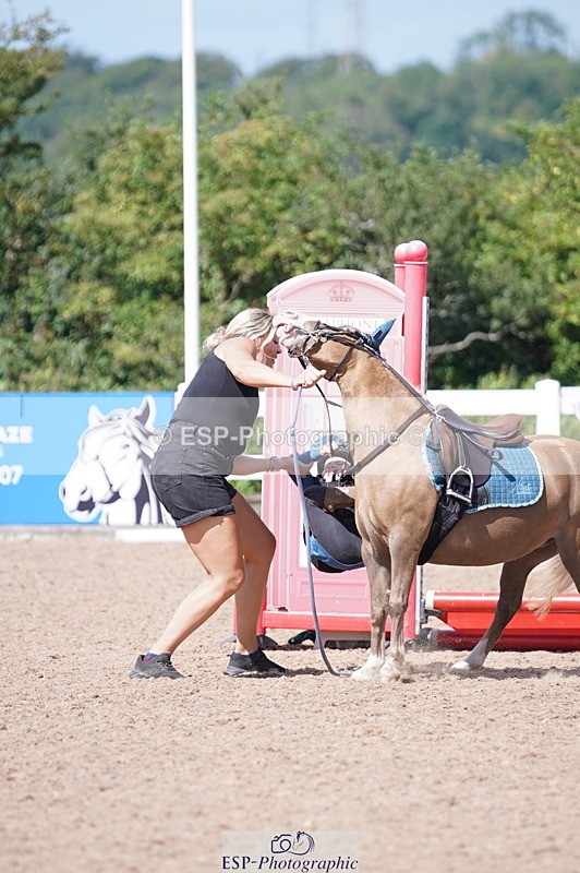 240809A-113354-00781 - Showjumping Competition