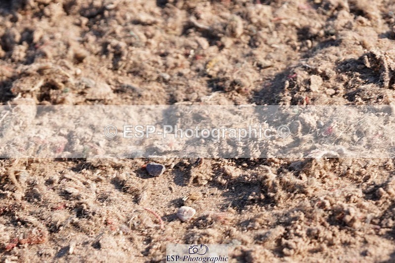 250510-180238-12409 - Cls 18 Chard Eq Derby