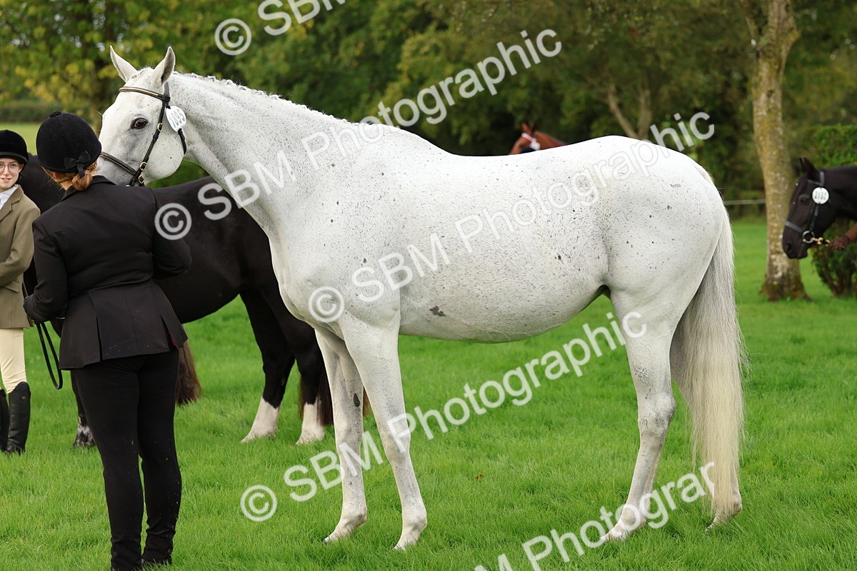 SBM_32843 - S8 - Best Turned Out