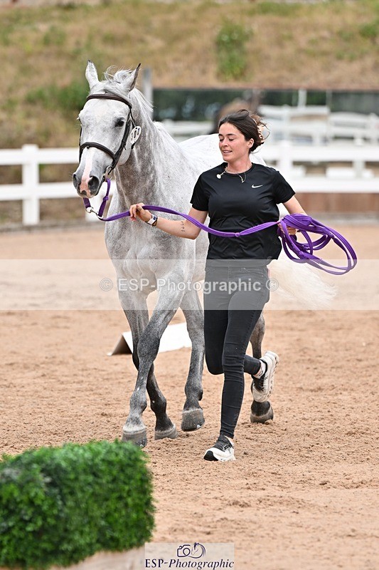 250716-143511-01229 - Trot Up 2.30 to 3.30