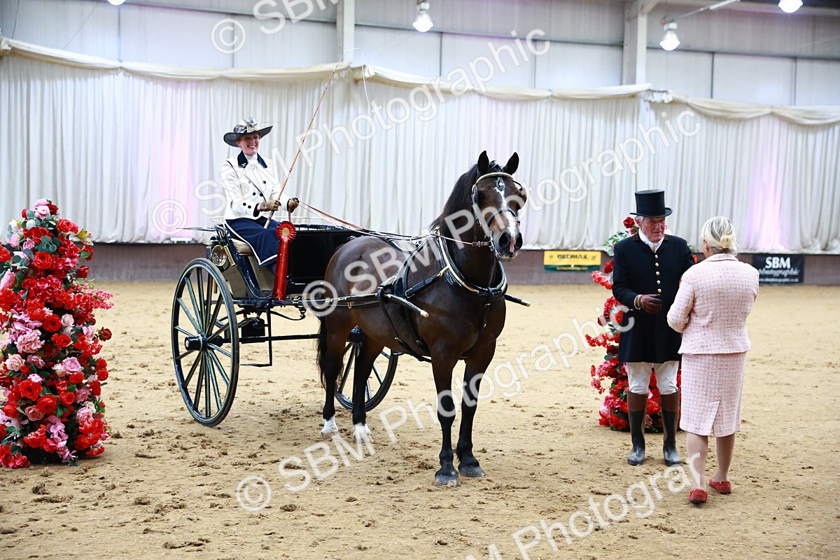 SBM_000225 - Class 3 - Alison Thomas Memorial Lady Whip
