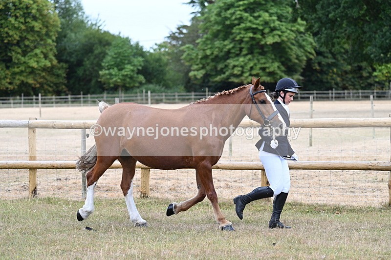 WJ7_8770 - Class 4a Prettiest Mare 14.2hh and over