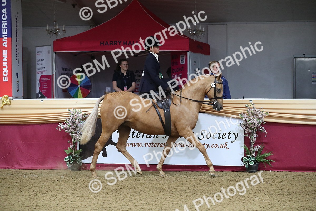SBM_09397 - Class 101 Equitation (best rider), Junior