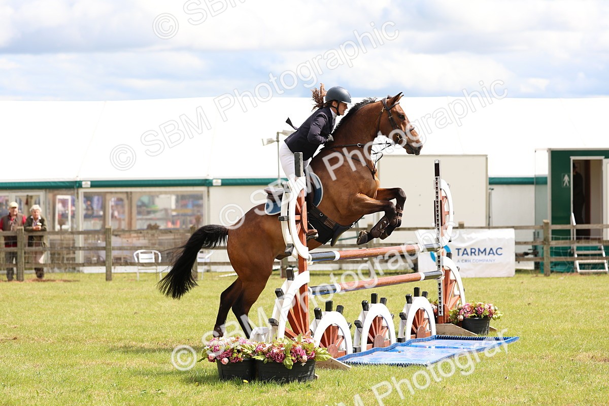 SBM_13685 - Class 206 - Senior Newcomers - 1.10m Open