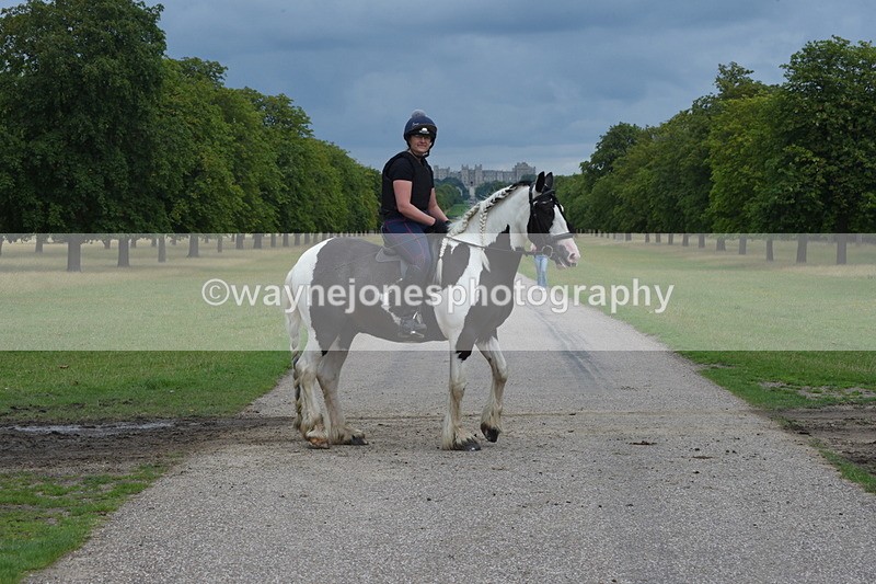 TT3_9302 - Time at Crossing 09:22 to 11:26