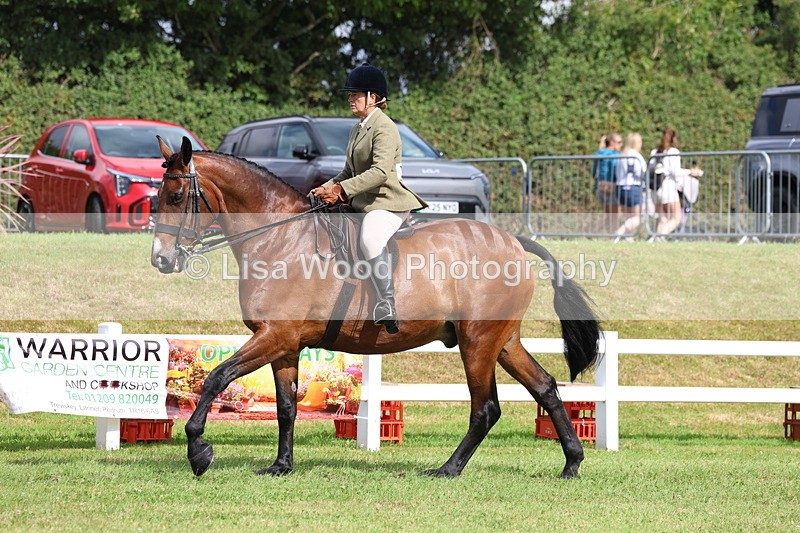 3E7A9347 - Class 4: Rising Star M/H Hunter