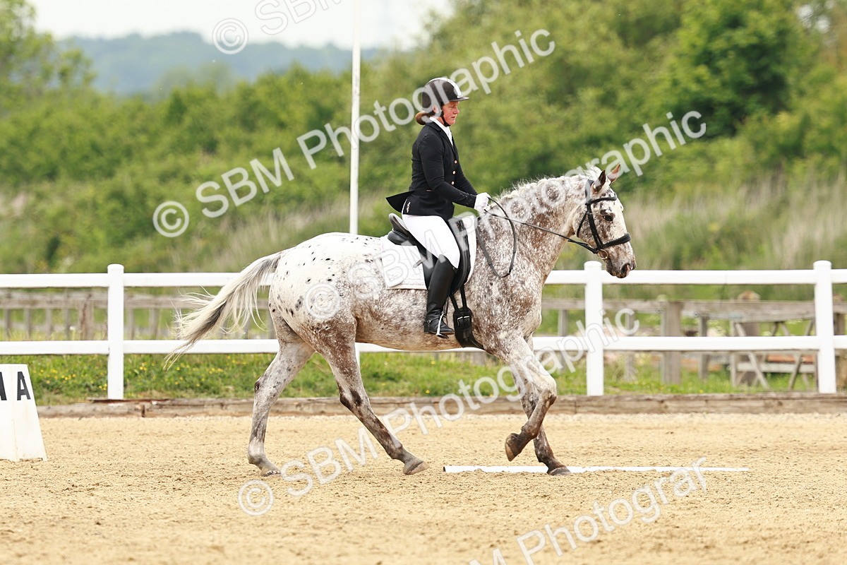 SBM_001264 - Class 7 - Novice 5