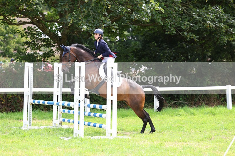 3E7A6946 - Class 5: Senior British Novice/90cm open