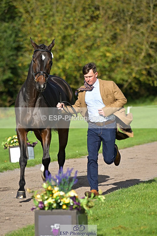 241023-130859-00098 - 005-Matthew.Heath-DIEGOS.ROSE