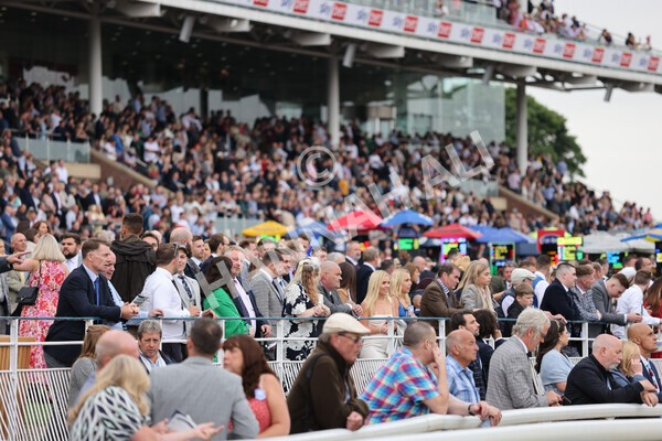 yr22072022r2-19 - Race 2 5.50pm eventmasters.co.uk Stakes