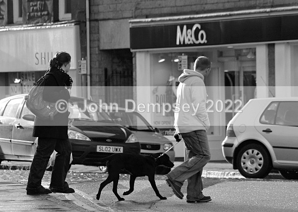 Crossing The High Street - Walking the Dog