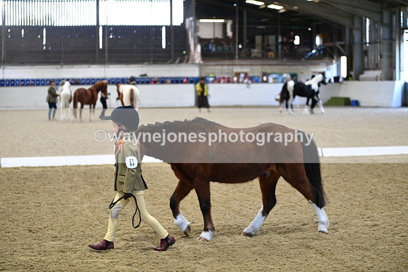 WJ5_3734 - Class 5 In Hand Veterans
