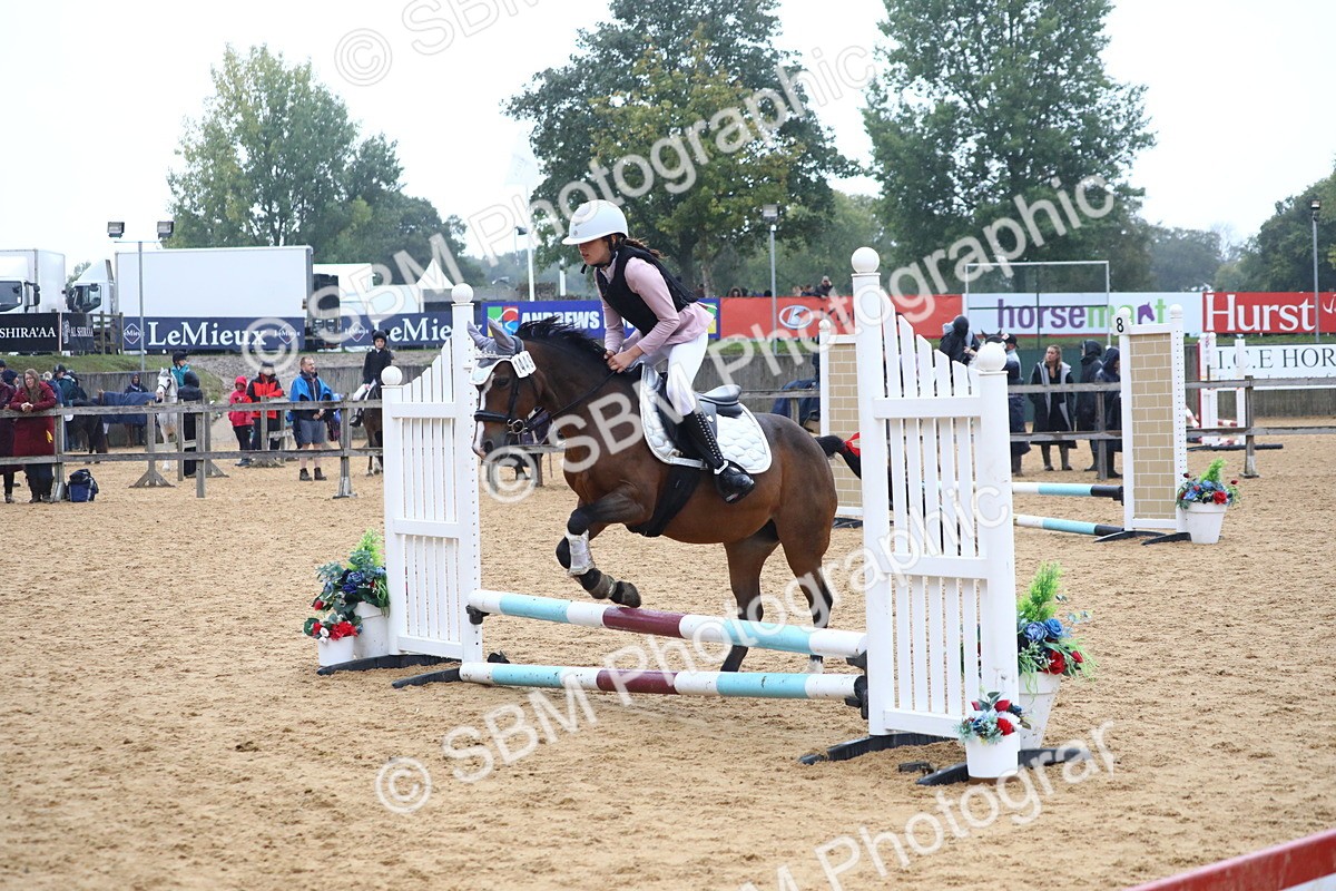 SBM_71605 - J4 - Mini Tour Junior Pony 45cm Championship