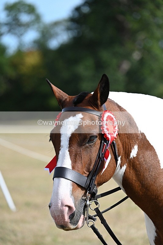 WJ7_7956 - George ...