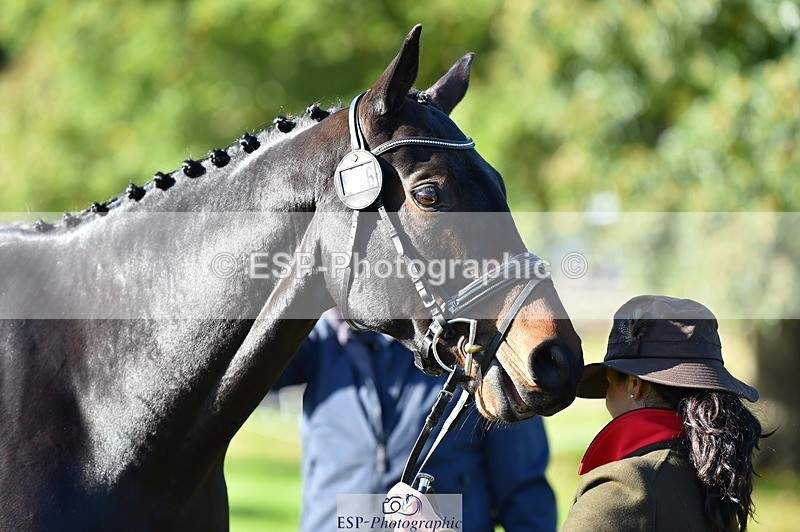 231022-110408-23697 - 506-WOODSTOCK-Gemma.Wood-TrotUp+SJ