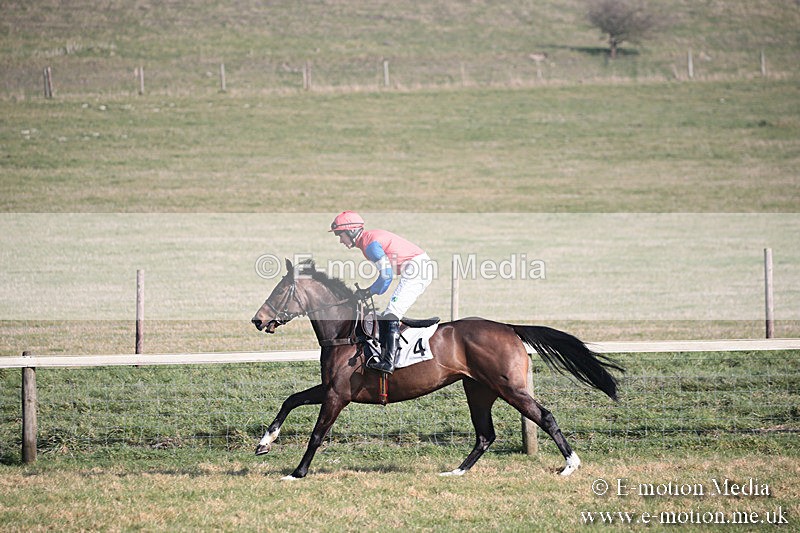PtP 230219 151 - Vine & Craven Point-To-Point - Barbury 23/02/19