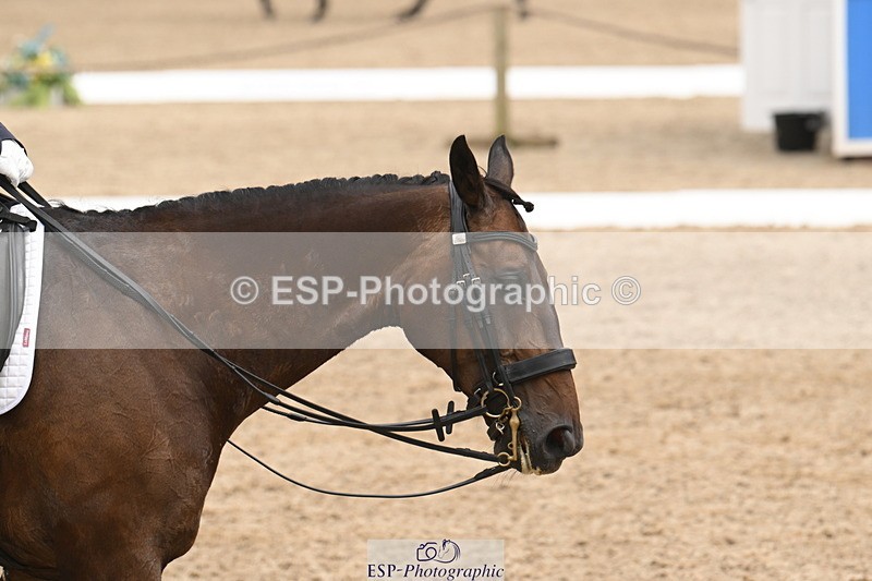 250719A-143229-06395 - 131-Angie.Jacobs-Tantoni.Bulgari