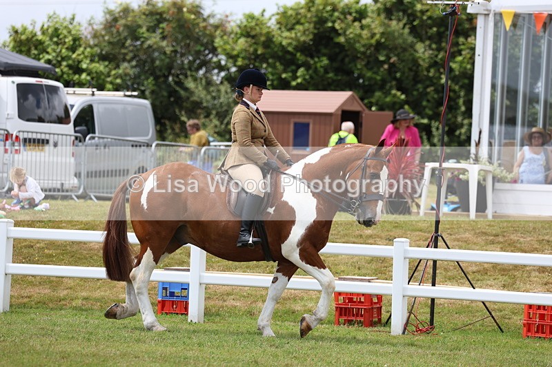 3E7A1806 - Class 10: Open Cob