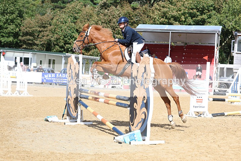 3E7A9363 - Class 9: Senior British Novice/90cm open