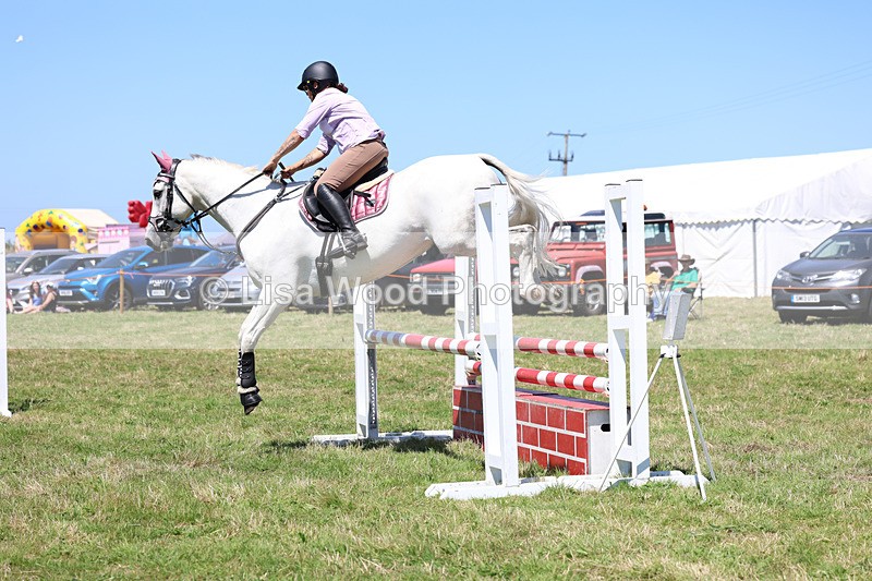 3E7A5663 - Class 9: Senior British Novice/90cm open